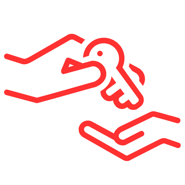 Legacy Icon