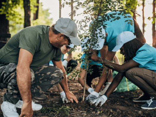 A group of people joyfully planting a tree together.